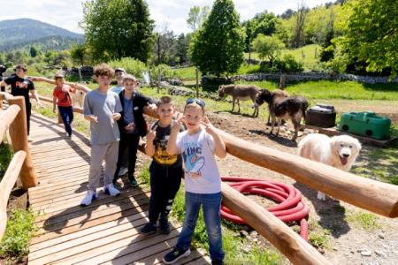 PIVKA DRŽAVNO TEKMOVANJE MLADIH ČEBELARJEV 11.5.2024 - Valter Leban-0597 (Small)